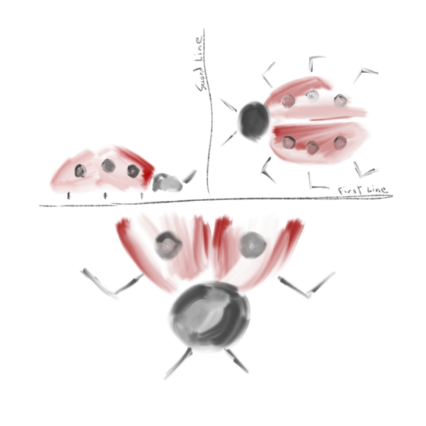#10 Ladybug